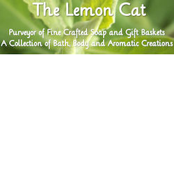 Follow on TWITTER @_thelemoncat_ !