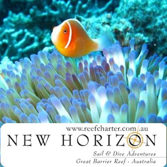 Follow on TWITTER @new_horizon !